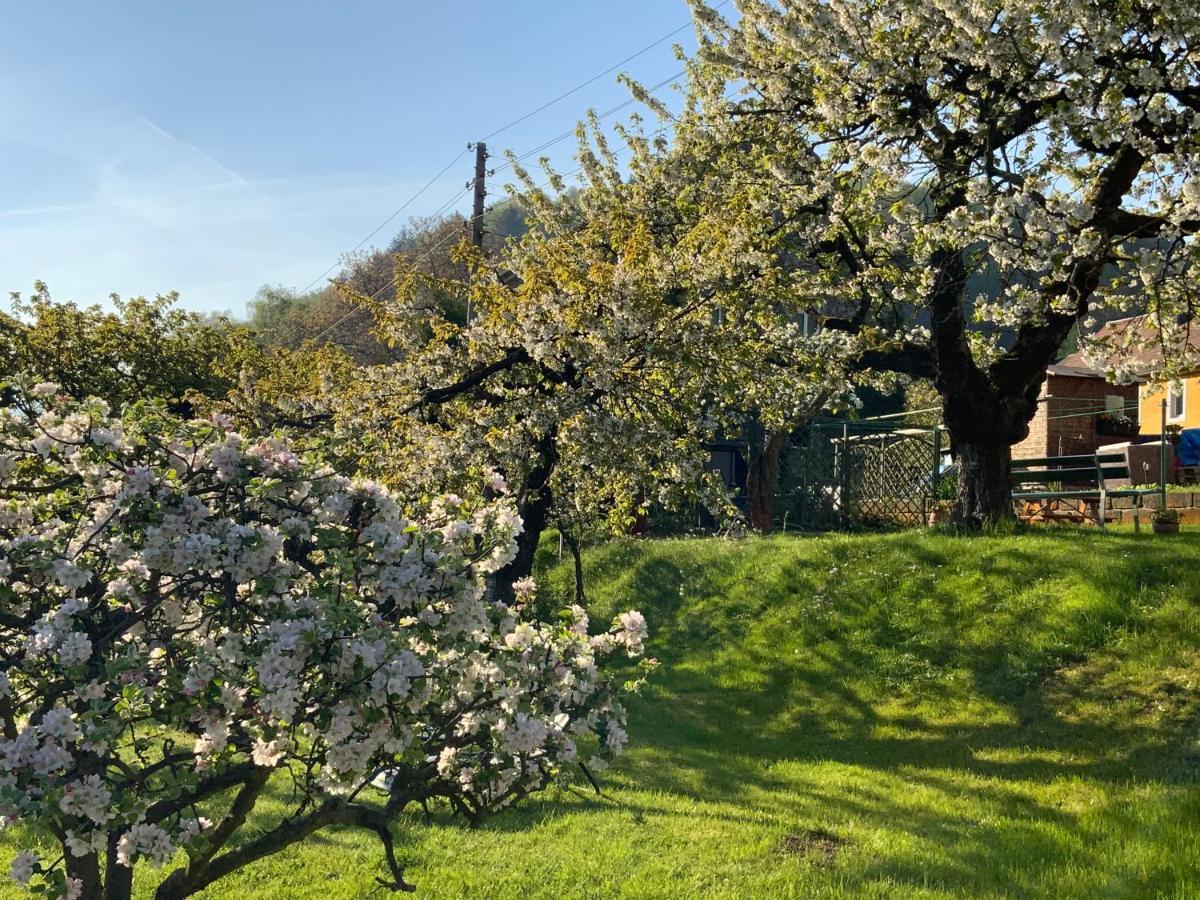 Pension Hoenel-Hof Bad Schandau Buitenkant foto