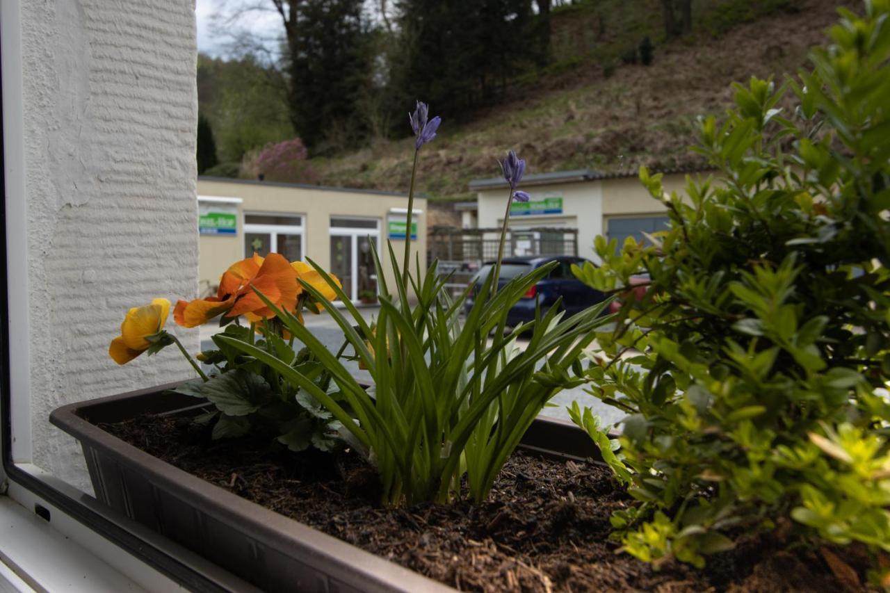 Pension Hoenel-Hof Bad Schandau Buitenkant foto