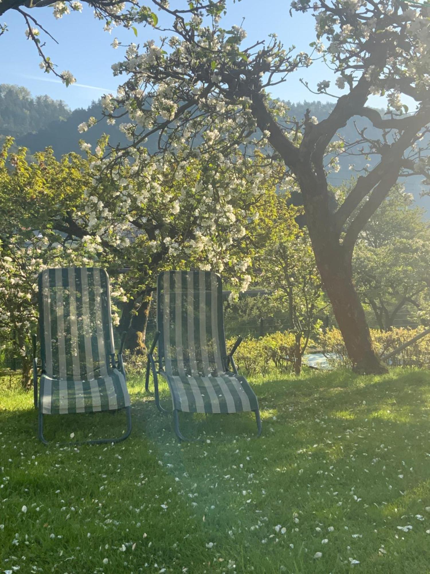 Pension Hoenel-Hof Bad Schandau Buitenkant foto